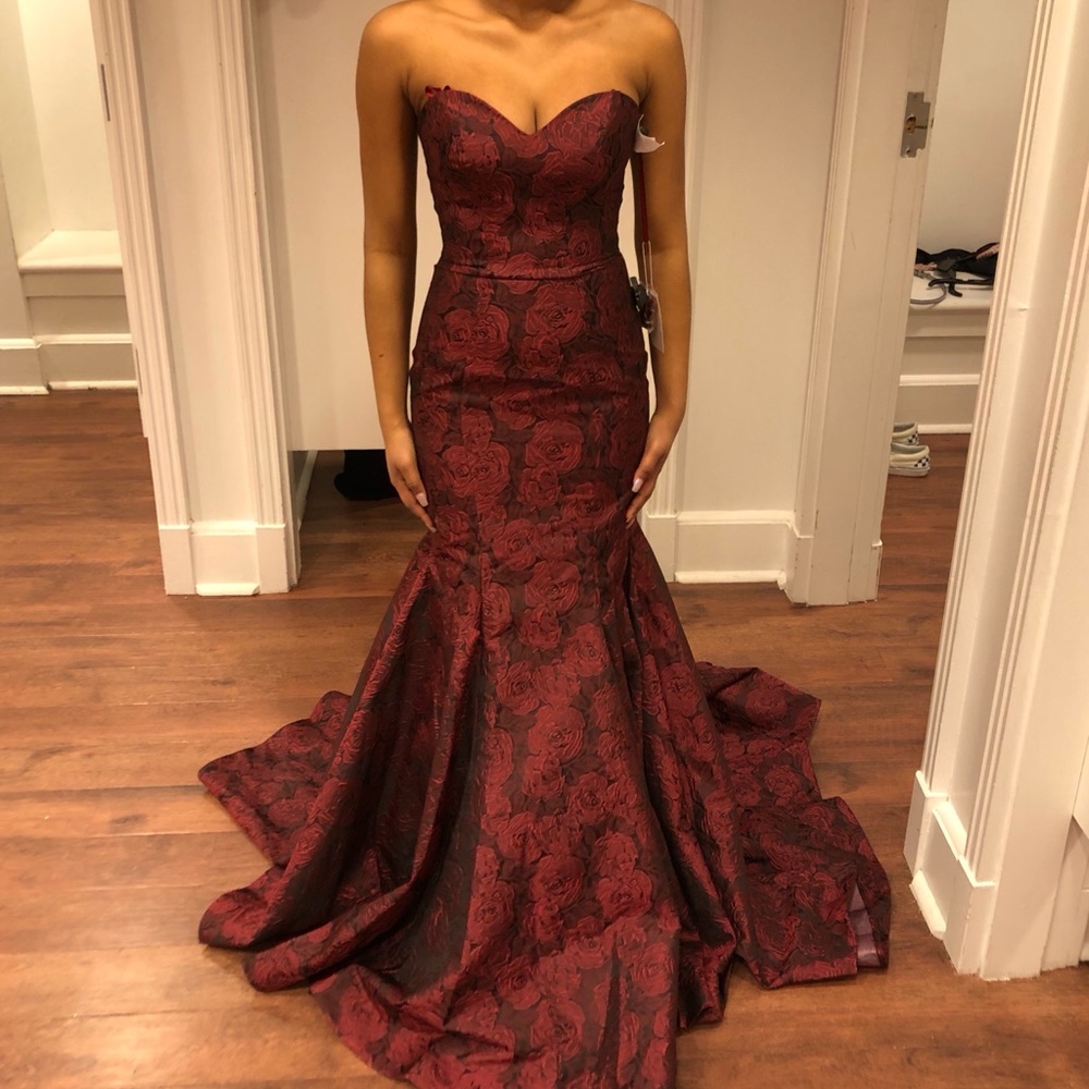 Elegant Rose Dress. Bought as size 4 can fit 0 - 2